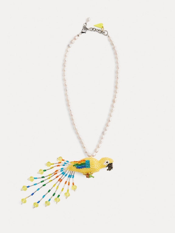 Collier the “fancy parrot”