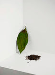 Organic English Breakfast Tea pyramid tea bags