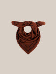 Achille Scarf - Violin