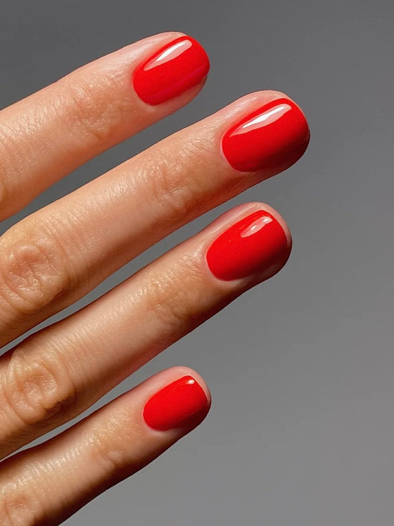 37 Tomate Rouge