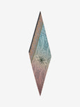 ALOEUW Scarf Silk 65x120 - DEGRADE