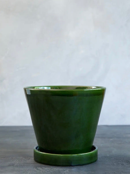 Julie glazed pot + saucer - emerald green