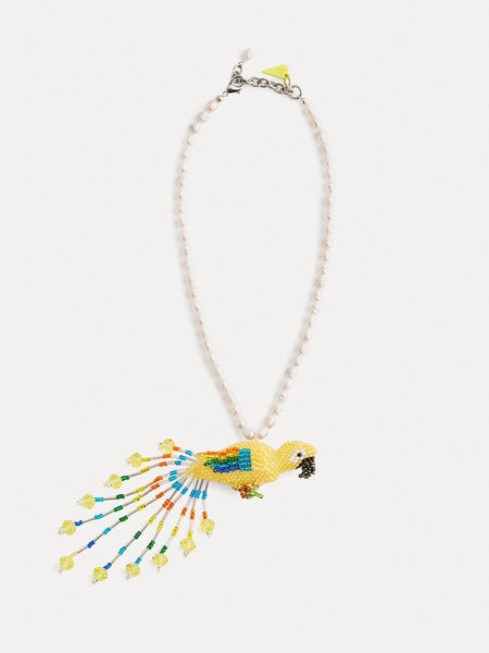 Collier the “fancy parrot”