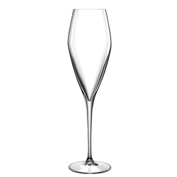 Atelier champagne glass