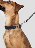 Dog Collar Central Park - Black